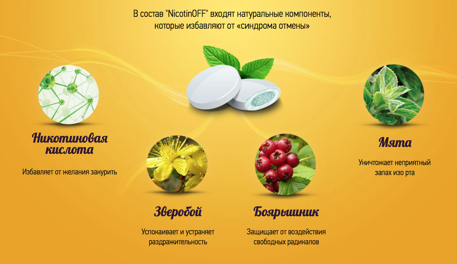 Состав жевательной резинки NicotinOFF (никотиноф) Состав жевательной резинки NicotinOFF (никотиноф)