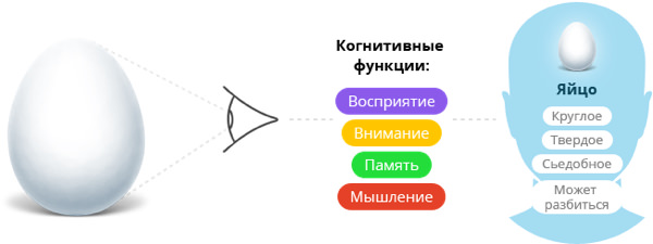 Курение снижает уровень когнитивных способностей Курение снижает уровень когнитивных способностей