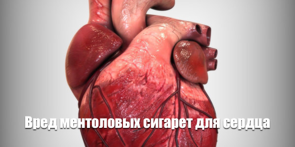 Вред ментоловых сигарет для сердца Вред ментоловых сигарет для сердца