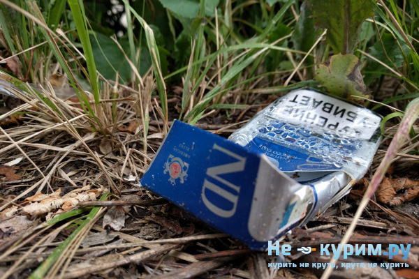 Вред курения сигарет по сравнению с трубкой Вред курения сигарет по сравнению с трубкой