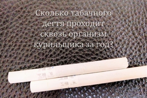 Сколько дегтя проходит за год Сколько дегтя проходит за год