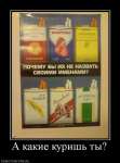А какие куришь ты?