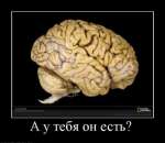 А у тебя он есть?