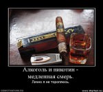 Я не тороплюсь