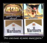 Сколько нужно?