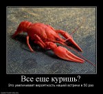 Неизбежная встреча