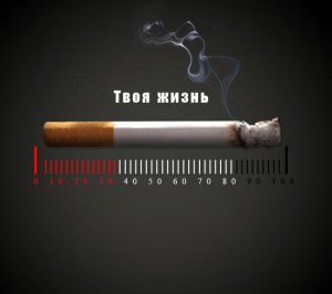Антитабачные слоганы