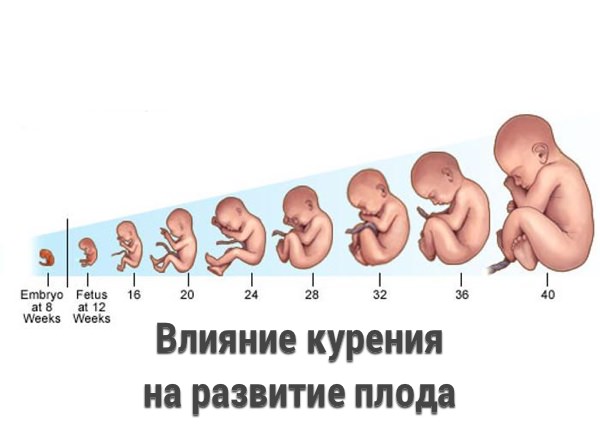 Влияние курения на развитие плода