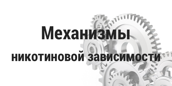 Механизмы никотиновой зависимости Механизмы никотиновой зависимости